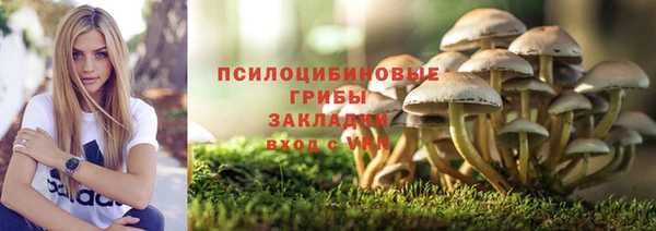 мдпв Кинешма