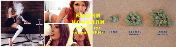 прущие грибы Киреевск