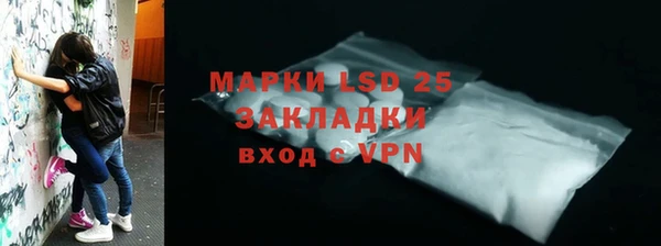 стаф Кодинск