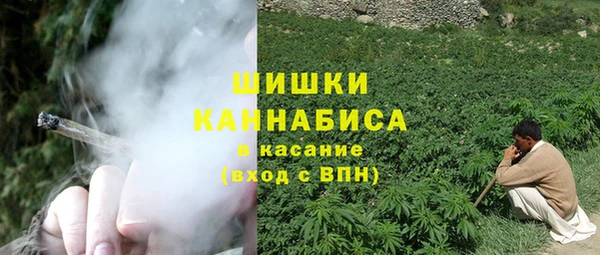 прущие грибы Киреевск
