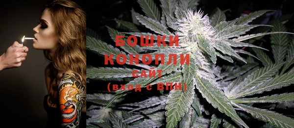 PSILOCYBIN Козельск