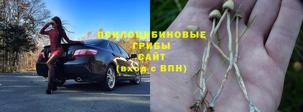 PSILOCYBIN Козельск